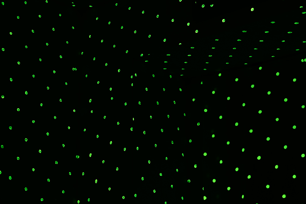 space